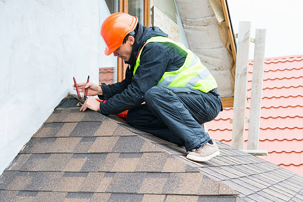 Best Roof Gutter Cleaning  in Port Orange, FL